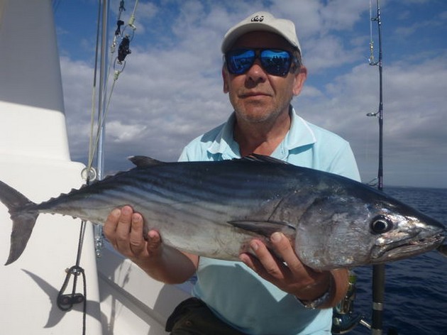 Atlantic Bonito - North Atlantic Bonito (sierra) Cavalier & Blue Marlin Sport Fishing Gran Canaria