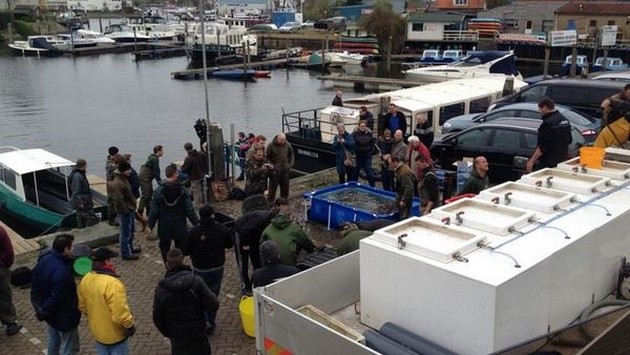 Karpers stuk voor stuk gefotografeerd Cavalier & Blue Marlin Sport Fishing Gran Canaria