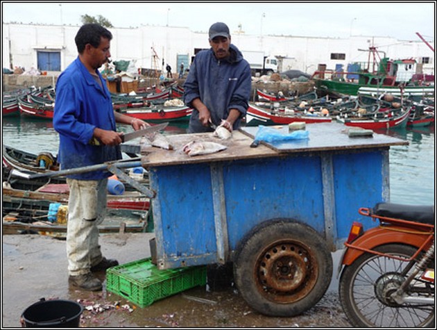 Europeanen mogen opnieuw in Marokko vissen Cavalier & Blue Marlin Sport Fishing Gran Canaria