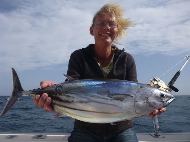 Skipjack Tuna Cavalier & Blue Marlin Sport Fishing Gran Canaria