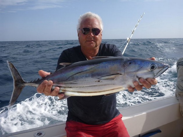 Skipjack Tuna - Jan van Ooijen caught this Skipjack Tuna Cavalier & Blue Marlin Sport Fishing Gran Canaria