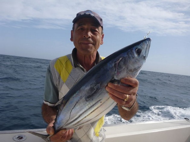 Skipjack Tuna Cavalier & Blue Marlin Sport Fishing Gran Canaria