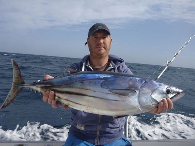 Skipjack Tuna caught by Leon van Ooijen from Holland Cavalier & Blue Marlin Sport Fishing Gran Canaria