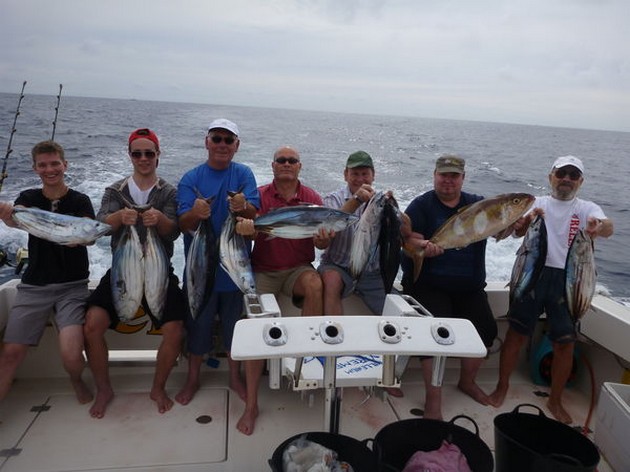 Massor av Skipjack tonfisk Cavalier & Blue Marlin Sport Fishing Gran Canaria