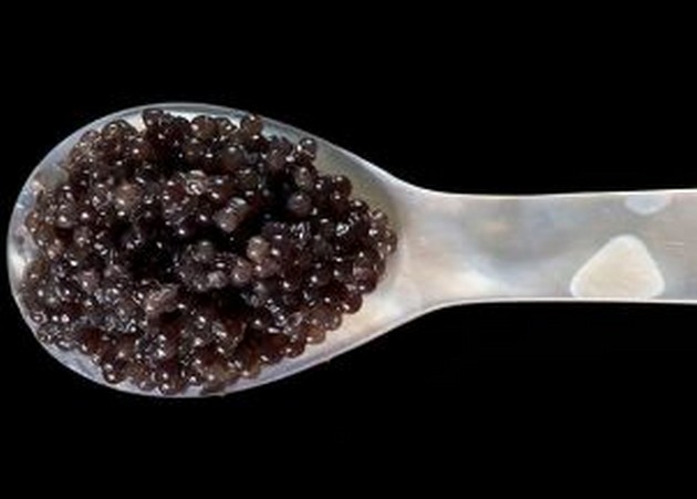 De allergrootste viskwekerij ter wereld is deze week Cavalier & Blue Marlin Sport Fishing Gran Canaria