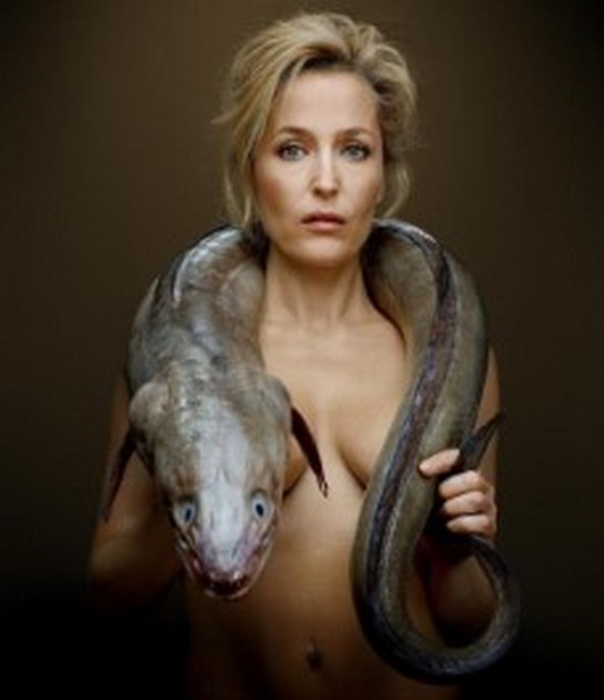 Gillian Anderson goes nude for endangered eel Cavalier & Blue Marlin Sport Fishing Gran Canaria
