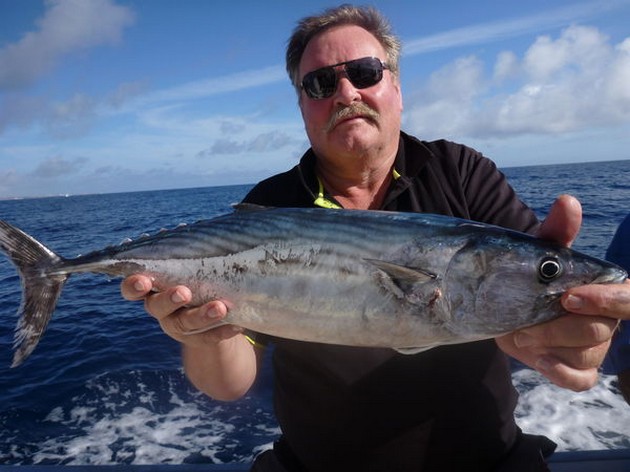 Skipjack Tuna Cavalier & Blue Marlin Sport Fishing Gran Canaria
