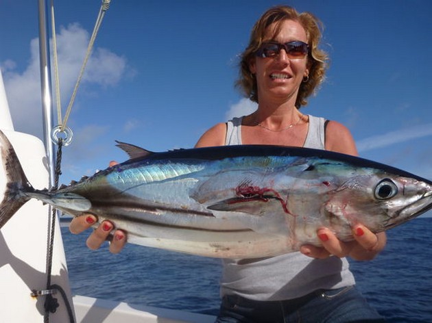 Skipjack Tuna - Cora den Oudsten caught this Skipjack on the boat Cavalier Cavalier & Blue Marlin Sport Fishing Gran Canaria