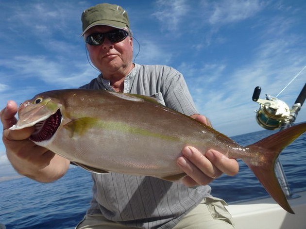 Amberjack Cavalier & Blue Marlin Sport Fishing Gran Canaria