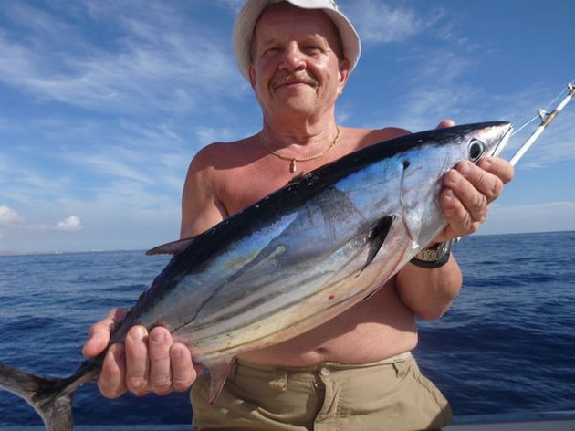 Skipjack Tuna Cavalier & Blue Marlin Sport Fishing Gran Canaria