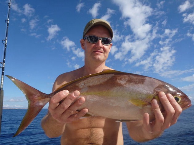 Amberjack Cavalier & Blue Marlin Sport Fishing Gran Canaria