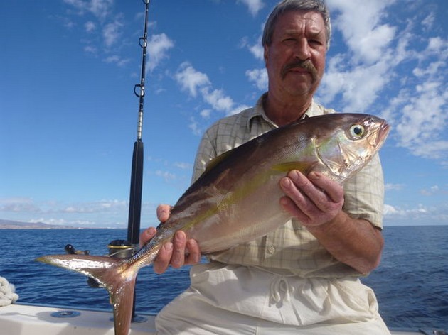 Amberjack Cavalier & Blue Marlin Sport Fishing Gran Canaria