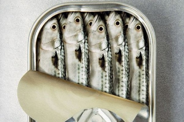 Three members of family die after eating tin of fish Cavalier & Blue Marlin Sport Fishing Gran Canaria