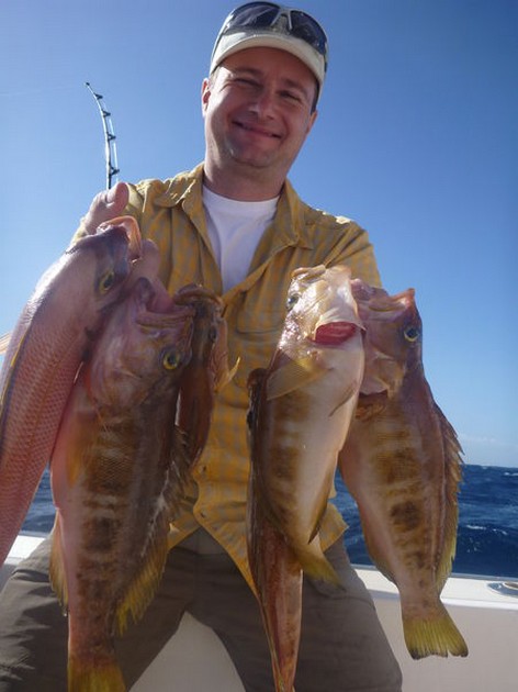 Combers - A nice catch of Combers done by Lawrence Anderson Cavalier & Blue Marlin Sport Fishing Gran Canaria