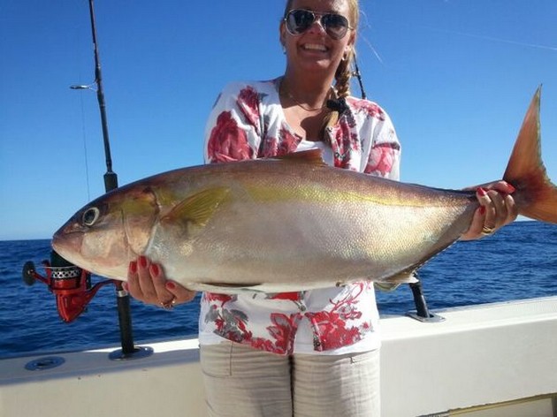 Amberjack Cavalier & Blue Marlin Sport Fishing Gran Canaria