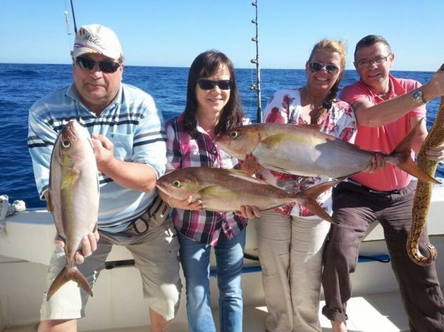 Well done - Amberjacks, Murene...............boat Cavalier Cavalier & Blue Marlin Sport Fishing Gran Canaria