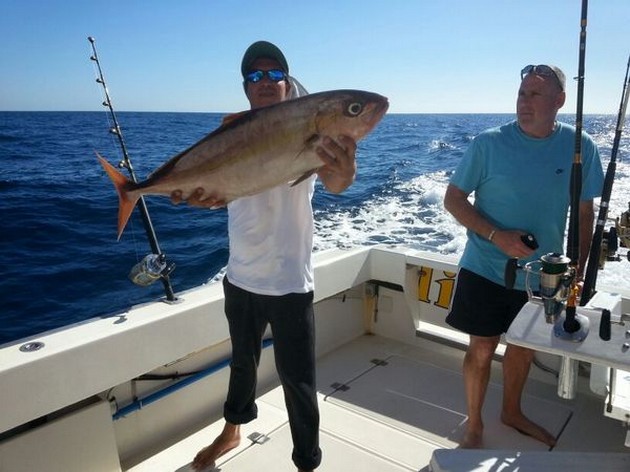 Amberjack Cavalier & Blue Marlin Sport Fishing Gran Canaria