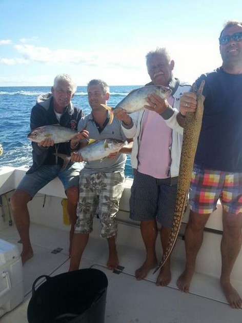 Nice catches of Amberjacks, Moray Eels and Rays Cavalier & Blue Marlin Sport Fishing Gran Canaria