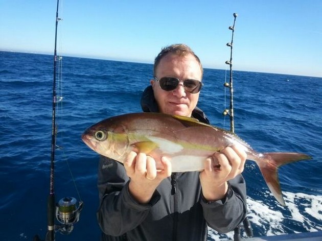 Amberjack Cavalier & Blue Marlin Sport Fishing Gran Canaria