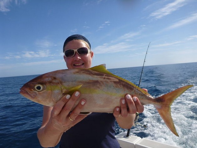 Amberjack Cavalier & Blue Marlin Sport Fishing Gran Canaria