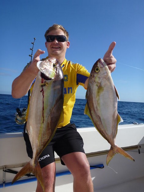 Amberjacks caught on the boat Cavalier Cavalier & Blue Marlin Sport Fishing Gran Canaria