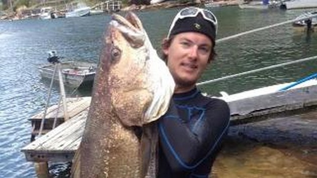 42kg, 1.3m Jewfish in Australia Cavalier & Blue Marlin Sport Fishing Gran Canaria