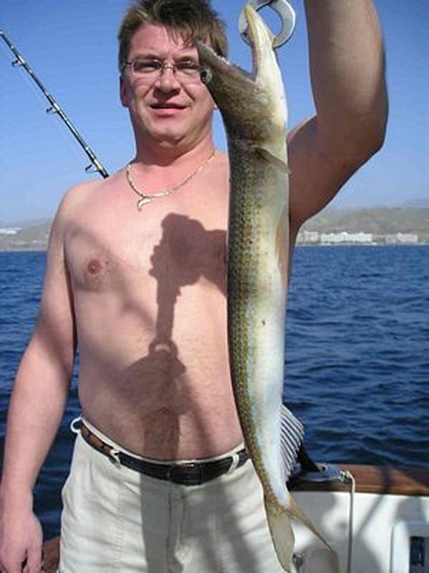 De felle hagedisvis aast altijd maar wordt niet zo groot. Cavalier & Blue Marlin Sport Fishing Gran Canaria