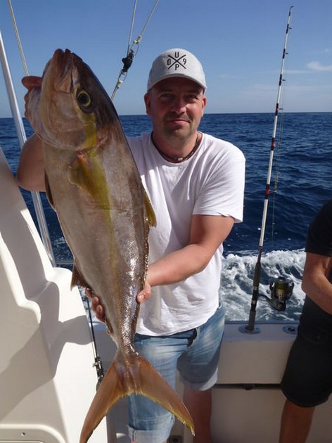 Amberjack caught by Thomas Knop Haven Cavalier & Blue Marlin Sport Fishing Gran Canaria