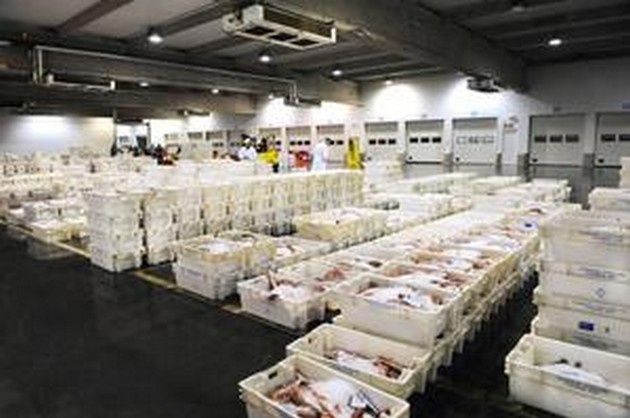 Belgen gooien elk jaar 300 ton vis weg Cavalier & Blue Marlin Sport Fishing Gran Canaria