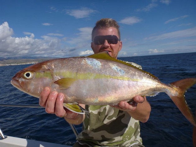 Amberjack Cavalier & Blue Marlin Sport Fishing Gran Canaria