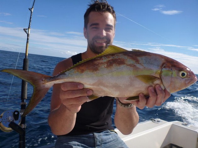 Amberjack Cavalier & Blue Marlin Sport Fishing Gran Canaria