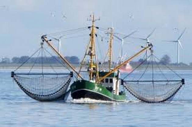 Er wordt 55% meer vis gevangen dan gerapporteerd Cavalier & Blue Marlin Sport Fishing Gran Canaria