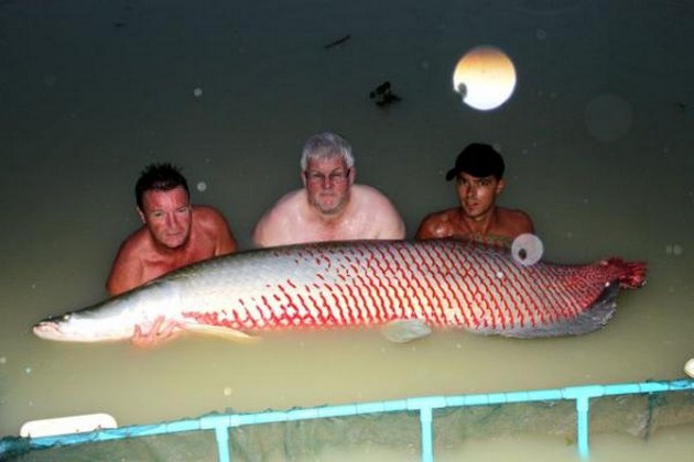 Mer monsterfisk till Stretton Cavalier & Blue Marlin Sport Fishing Gran Canaria