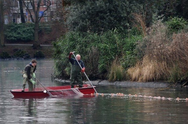 Vis vangen in Anton van Duinkerkenpark Bergen op Zoom Cavalier & Blue Marlin Sport Fishing Gran Canaria