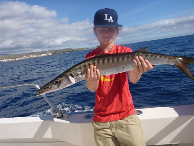 Barracuda - Noah from Norway shows his Barracuda Cavalier & Blue Marlin Sport Fishing Gran Canaria