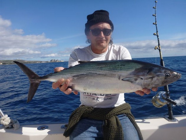 Atlantic Bonito - North Atlantic Bonito caught by Patrick from England Cavalier & Blue Marlin Sport Fishing Gran Canaria