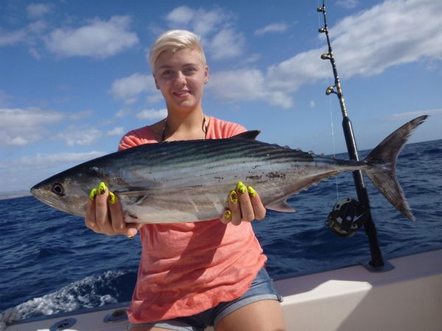 North Atlantic Bonito - North Atlantic Tuna caught by Dina Smet from Belgium Cavalier & Blue Marlin Sport Fishing Gran Canaria