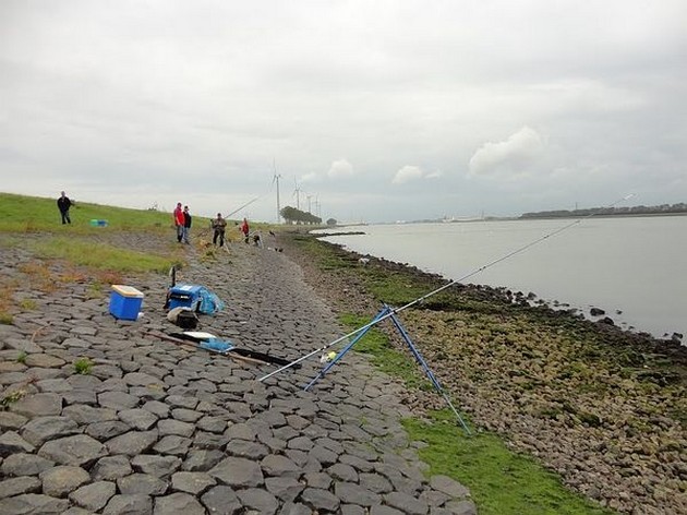 Sportvissen in Rotterdam Cavalier & Blue Marlin Sport Fishing Gran Canaria