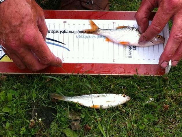 Niet meer vissen in bergingsvijver in Heino Cavalier & Blue Marlin Sport Fishing Gran Canaria