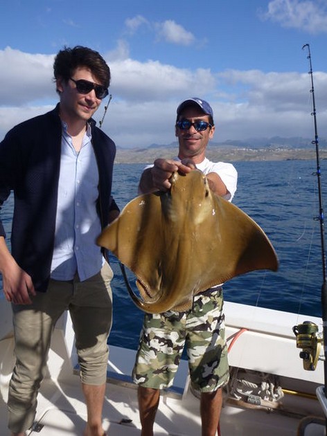 Eagle ray Cavalier & Blue Marlin Sport Fishing Gran Canaria