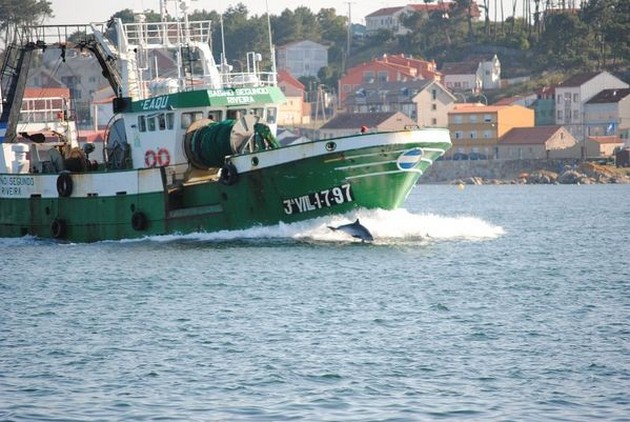 Er is weer meer vis voor de kust van Almería Cavalier & Blue Marlin Sport Fishing Gran Canaria