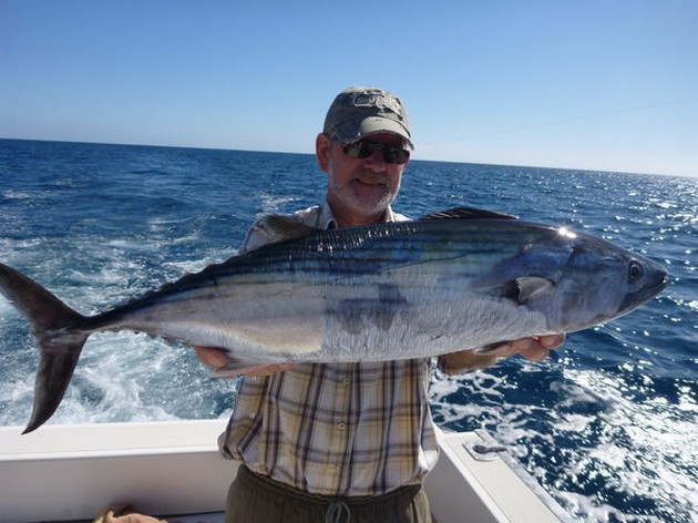 Atlantic Bonito - Freek Morees shows a good sized Atlantic Bonito. Cavalier & Blue Marlin Sport Fishing Gran Canaria