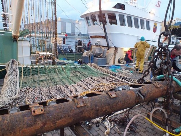 Europa lijkt groen licht te willen geven voor verruiming pulskorvisserij Cavalier & Blue Marlin Sport Fishing Gran Canaria