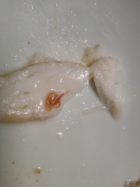 Klant vindt wormen in kabeljauw van Delhaize Cavalier & Blue Marlin Sport Fishing Gran Canaria