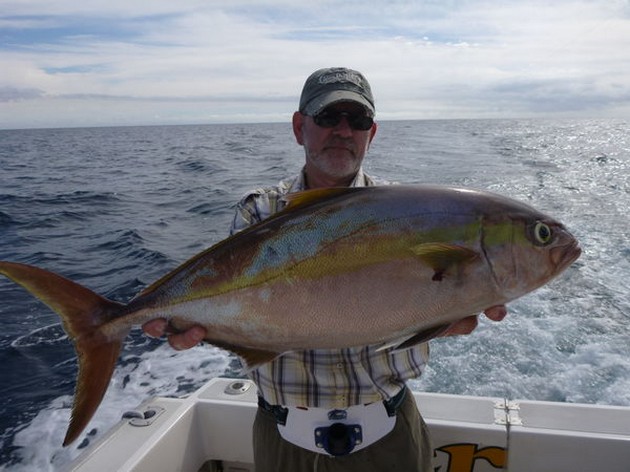 Bra fångster på ett lugnt hav Cavalier & Blue Marlin Sport Fishing Gran Canaria