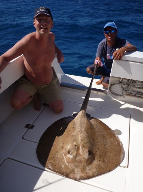 Bottle Nosed Skate, Round Stingray och North Atlantic Bonito's Cavalier & Blue Marlin Sport Fishing Gran Canaria