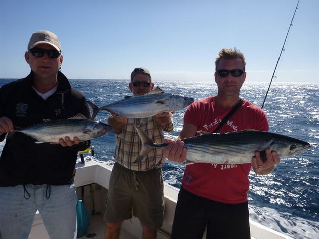 Nice Catch Cavalier & Blue Marlin Sport Fishing Gran Canaria