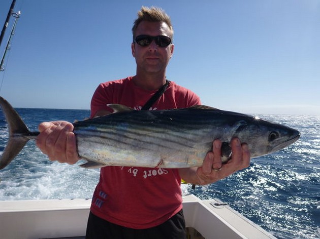 Sierra Tuna Cavalier & Blue Marlin Sport Fishing Gran Canaria