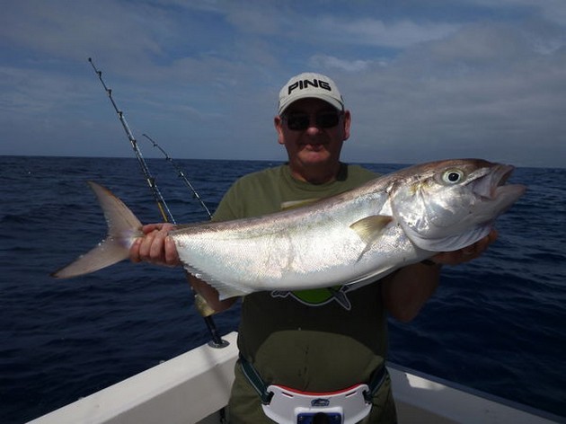 Amberjack - Beautiful Amberjack caught on the Cavalier Cavalier & Blue Marlin Sport Fishing Gran Canaria