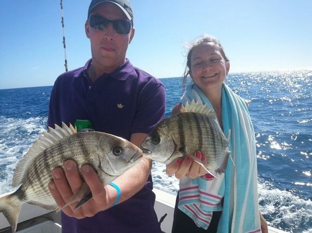 Zebra Breams Cavalier & Blue Marlin Sport Fishing Gran Canaria